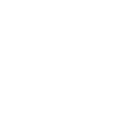 Fundación Meri