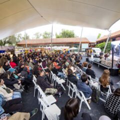 Festival Ladera Sur 2023