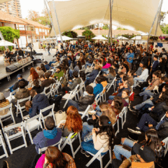 Festival Ladera Sur 2024