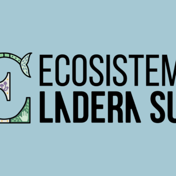 Festival Ladera Sur 2025 debuta con nuevo proyecto para su primer día: «Ecosistema Ladera Sur: Naturaleza sana, economía consciente»