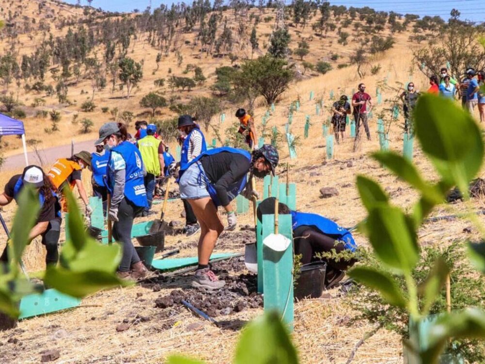 Legado y acción: conversación intergeneracional por la Tierra por Ambition Loop